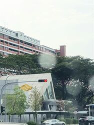 Suites @ Bukit Timah (D21), Shop House #464190111